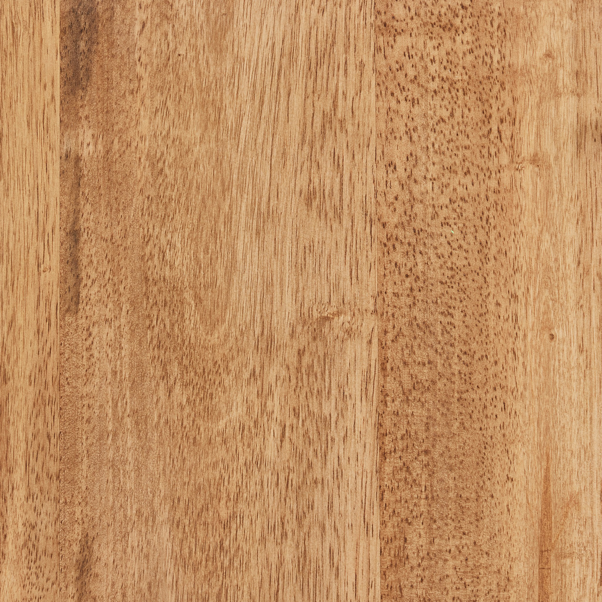 #color_toasted-acacia