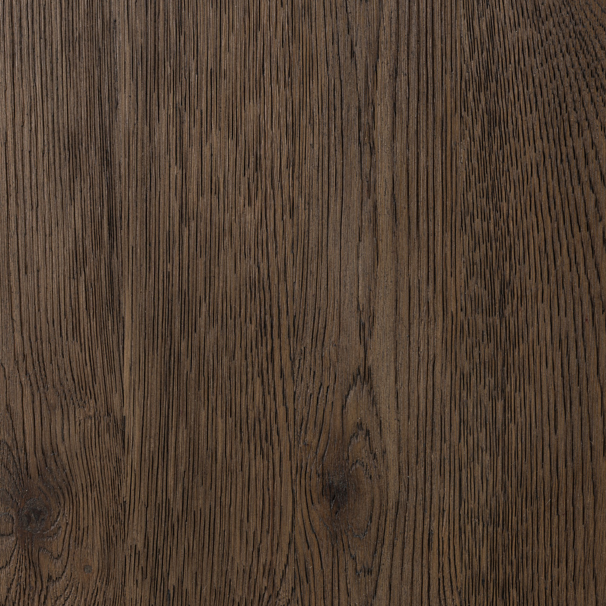 Sparrow Coffee Table