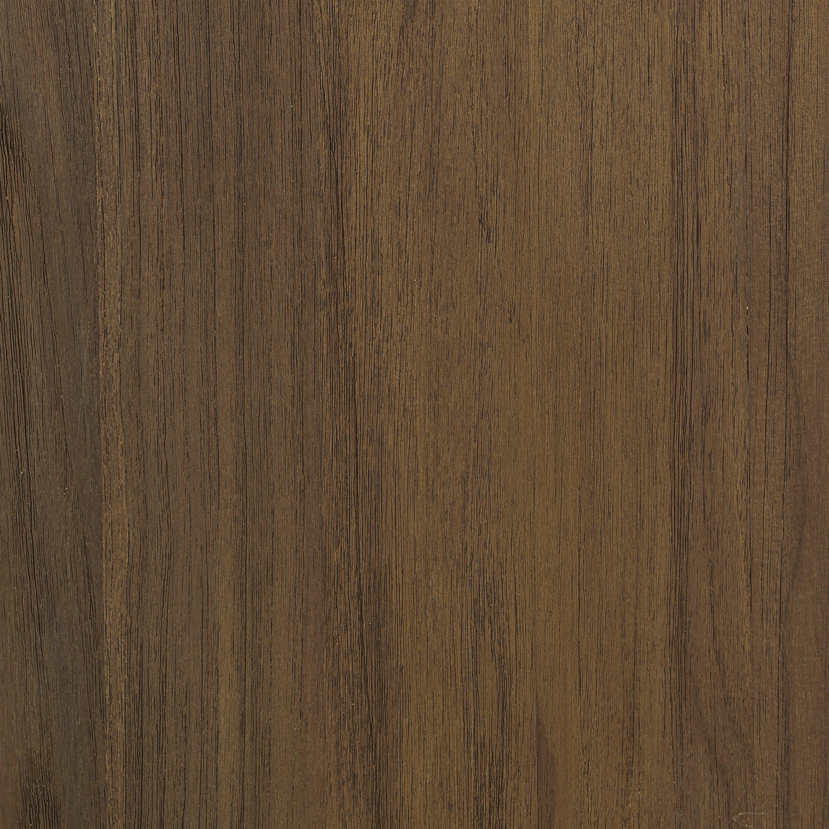 Tahana Outdoor Chair