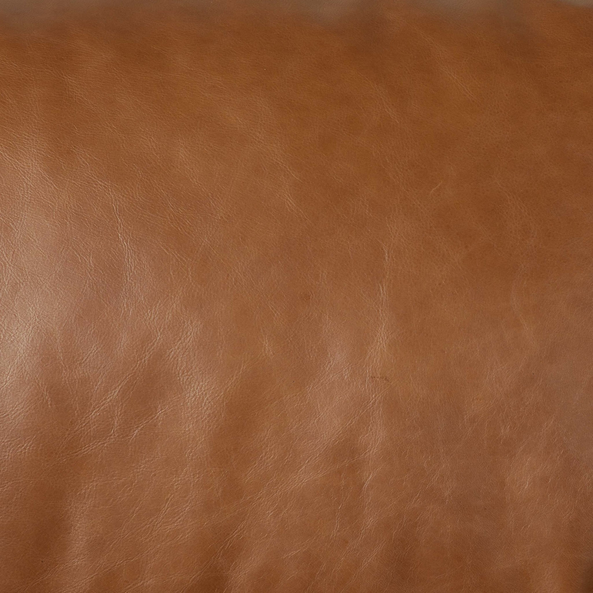 #color_sonoma-chestnut