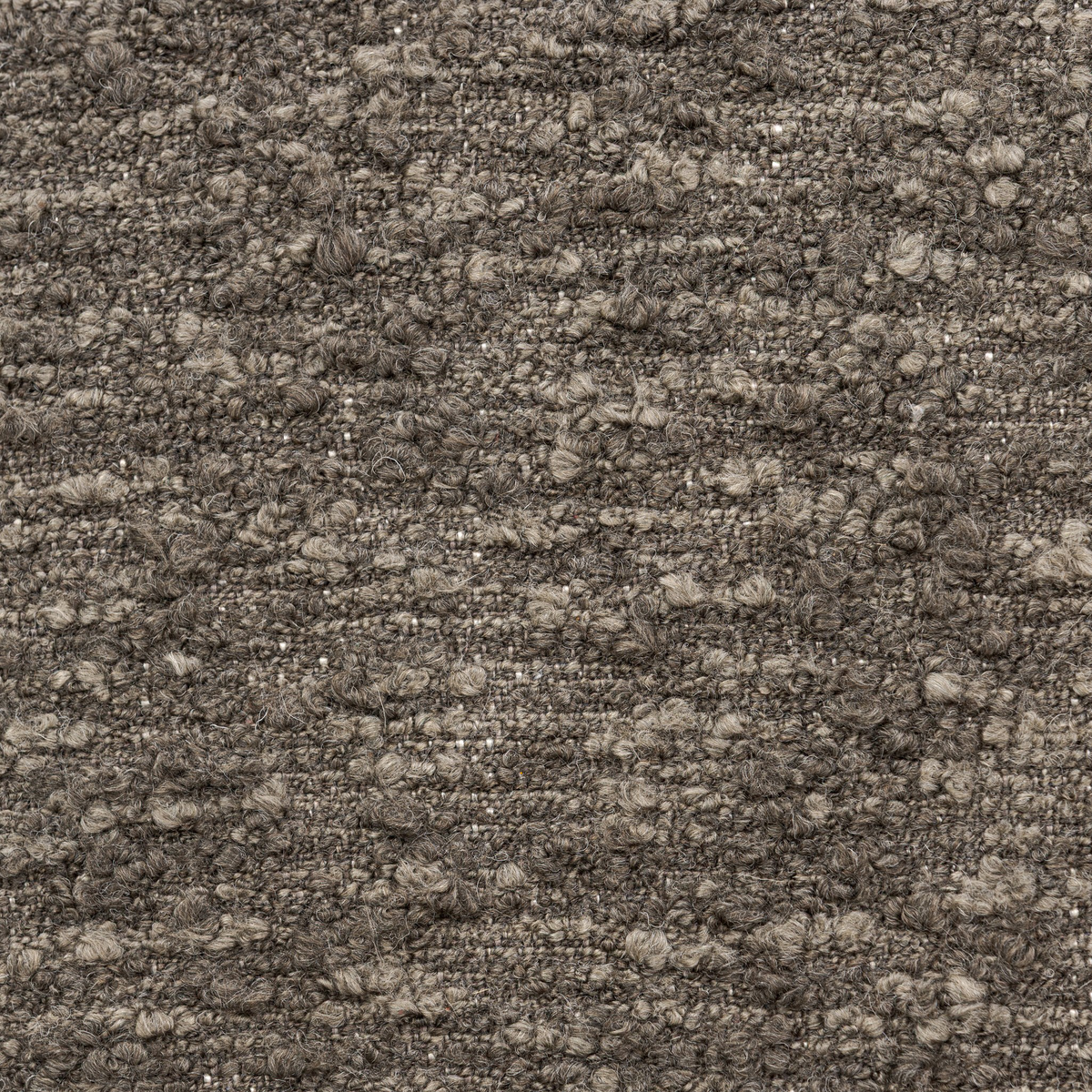 #color_solema-moss