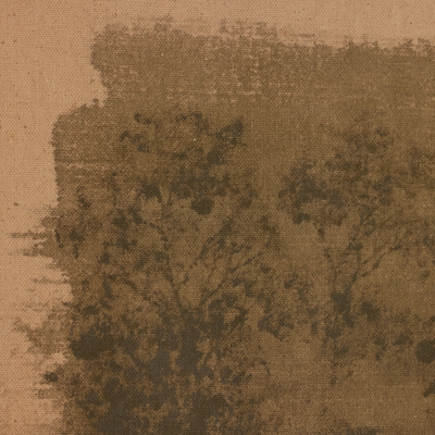 #color_rustic-2.5-walnut