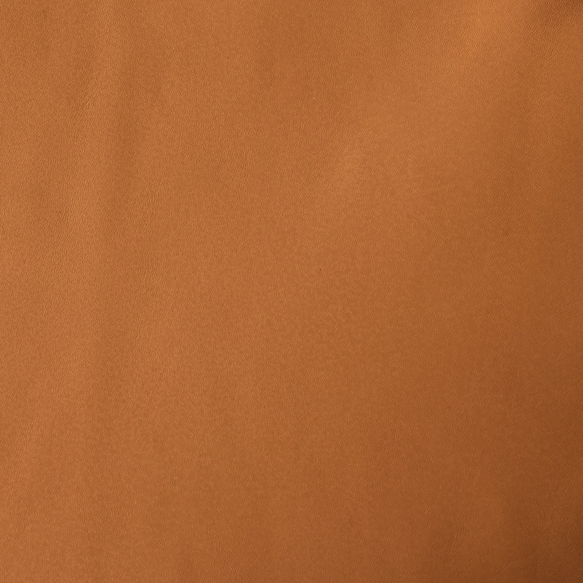 #color_whiskey-saddle