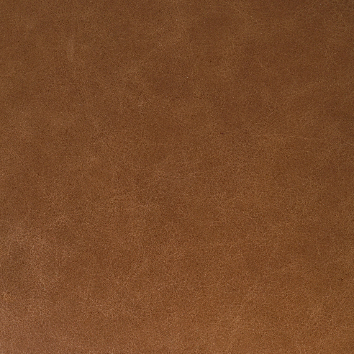 #color_sonoma-chestnut
