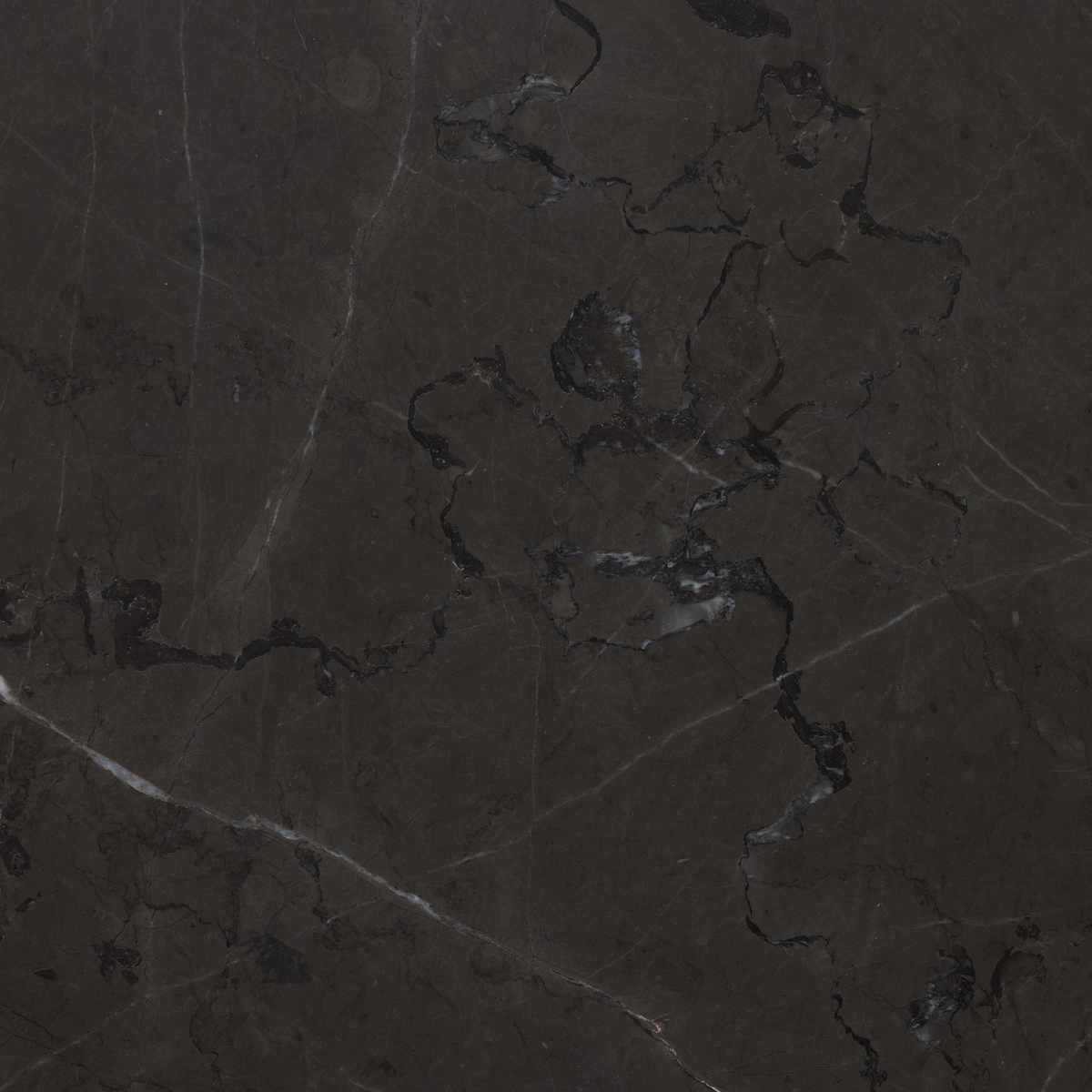 #color_grey-italian-marble