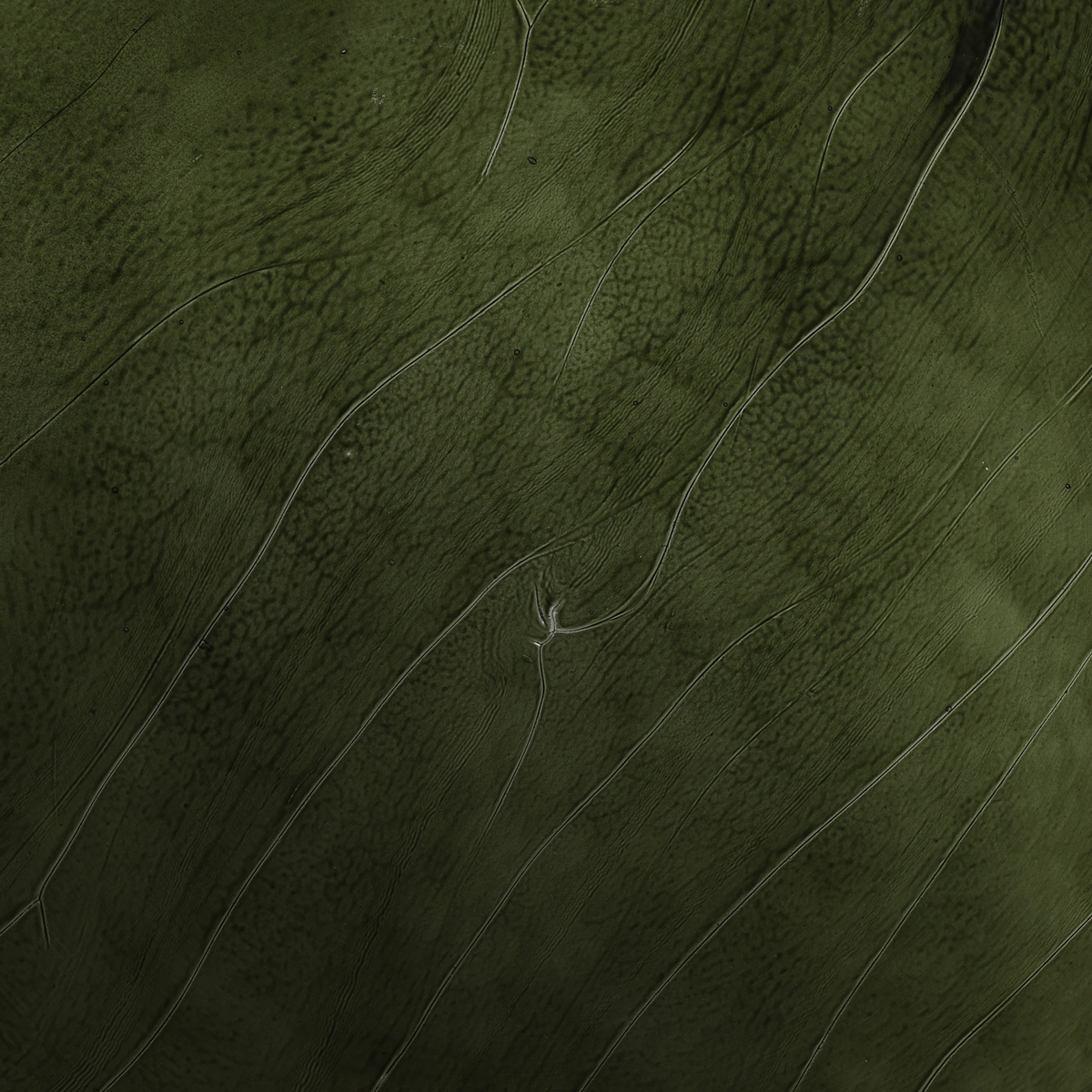 #color_moss-cast-glass