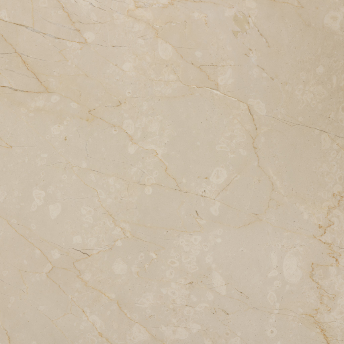 #color_cream-marble