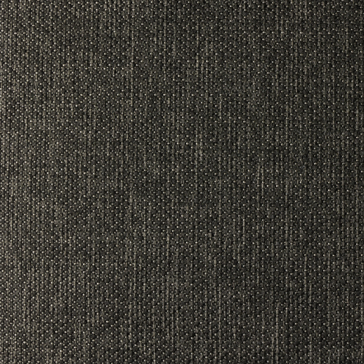 #color_ellor-black