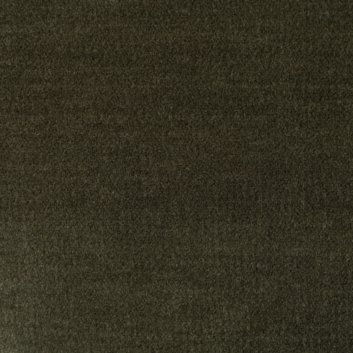 #color_monte-olive