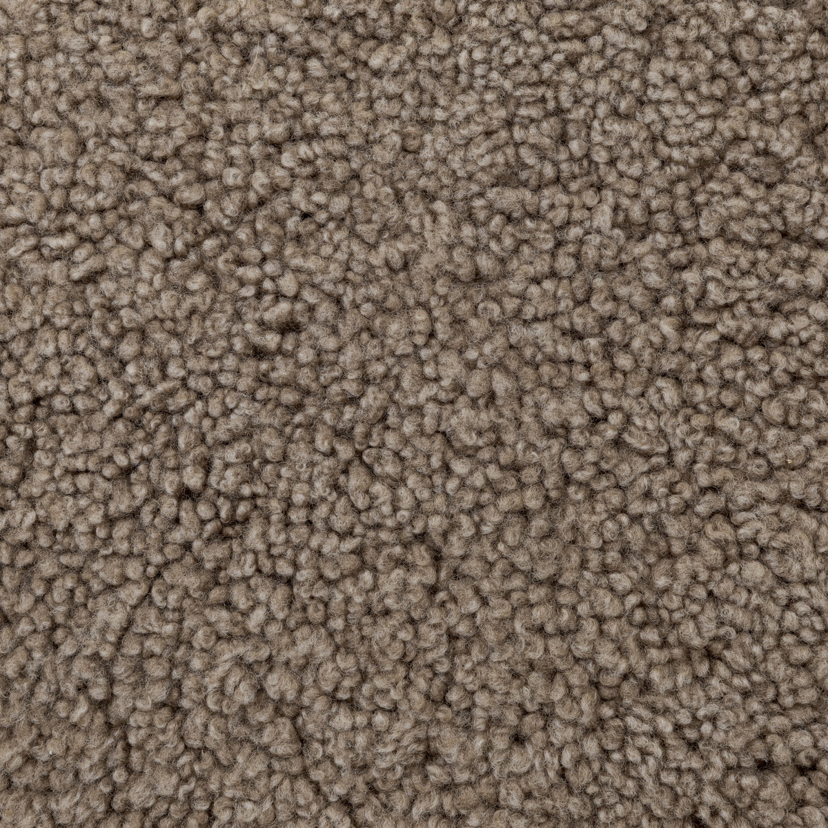 #color_taupe-shearling