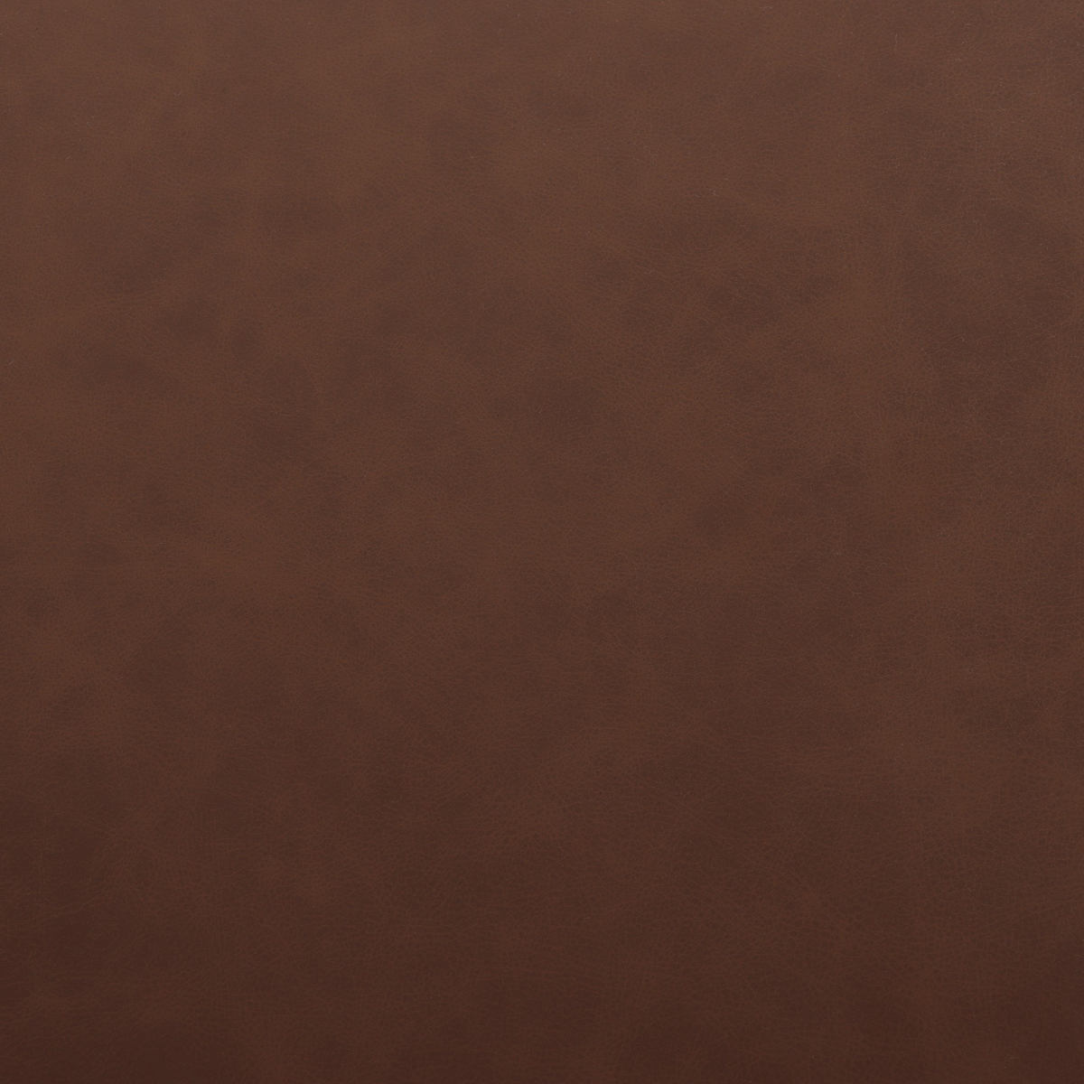 #color_maestro-cigar