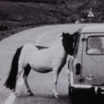 On The Road Iii By Annie Spratt