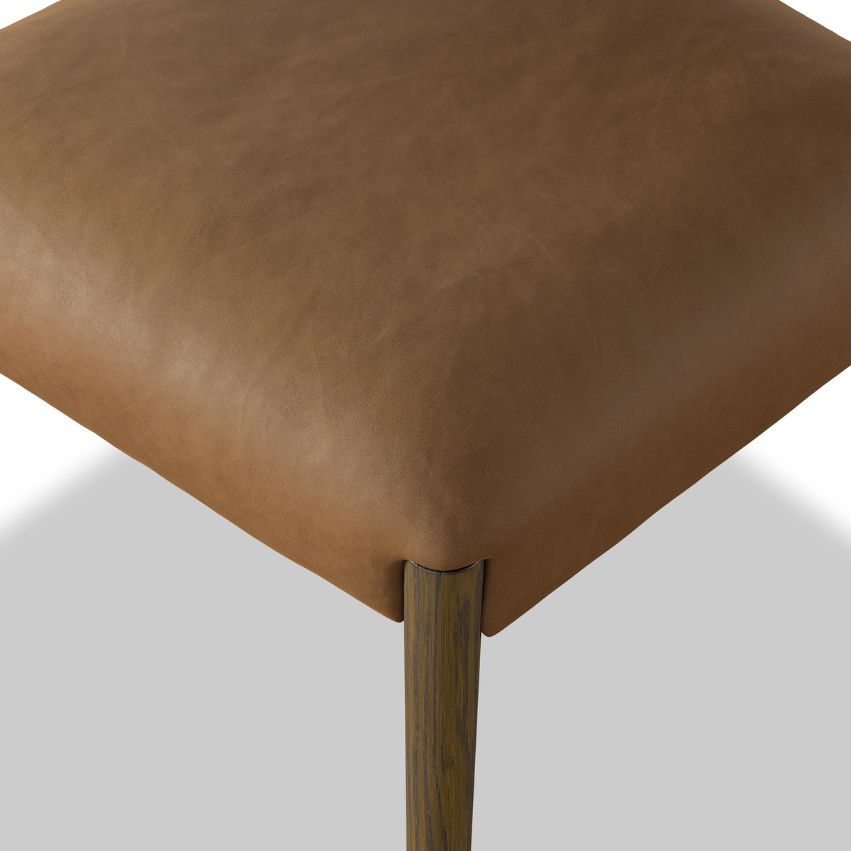 #color_maestro-camel