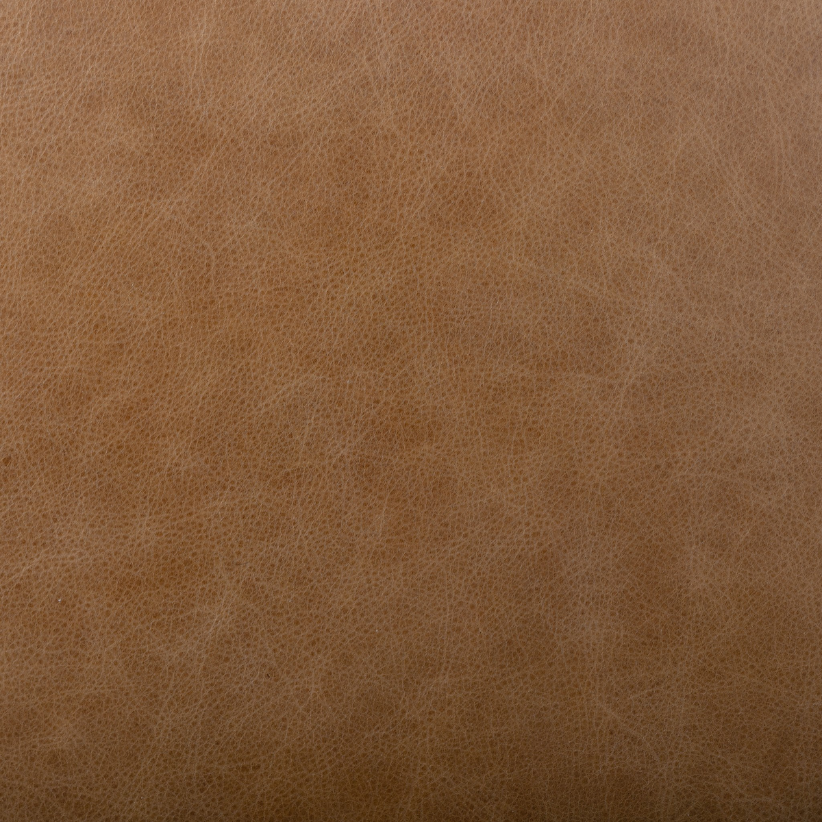 #color_chaps-saddle