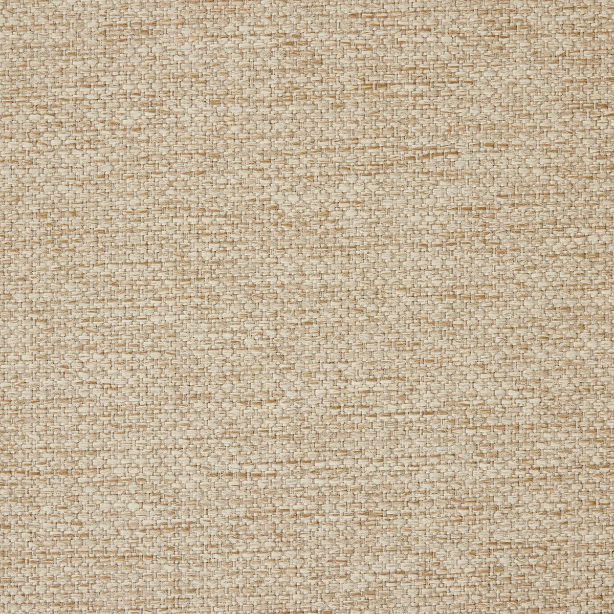 #color_ellor-beige