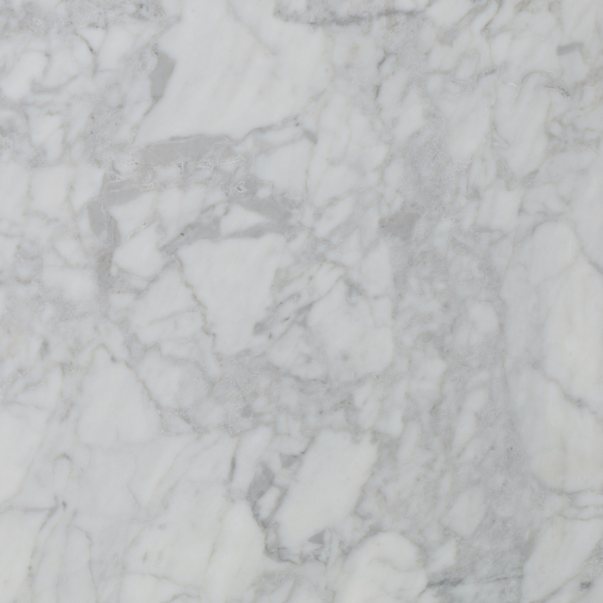 #color_honed-white-marble
