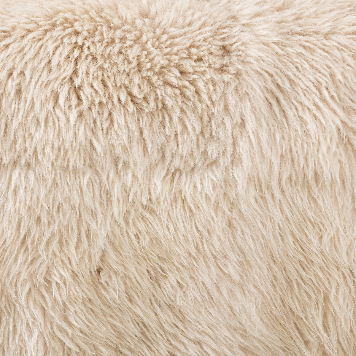 #color_champagne-mongolian-fur