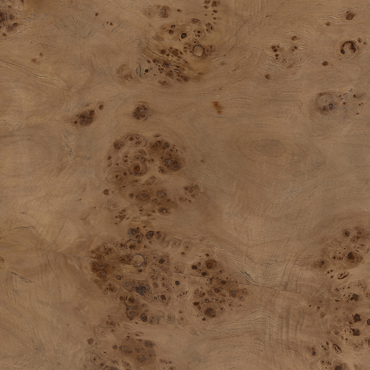 #color_caramel-burl