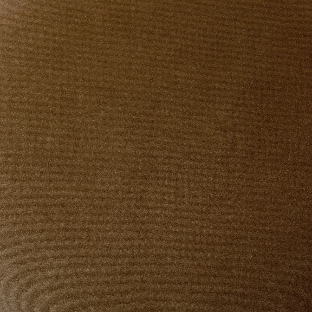 #color_surrey-ochre