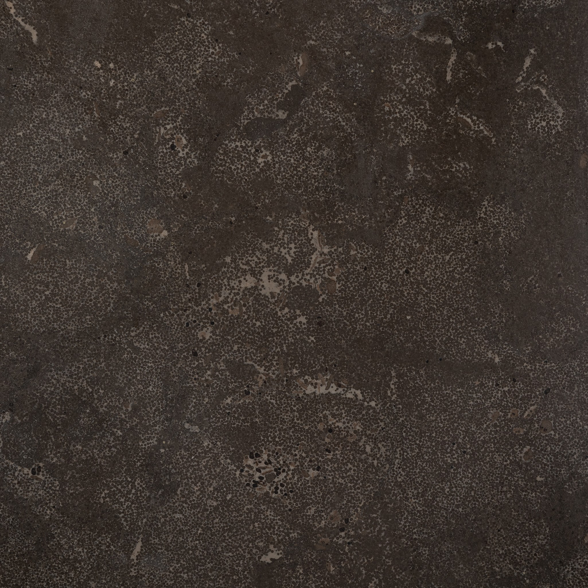 #color_washed-black
