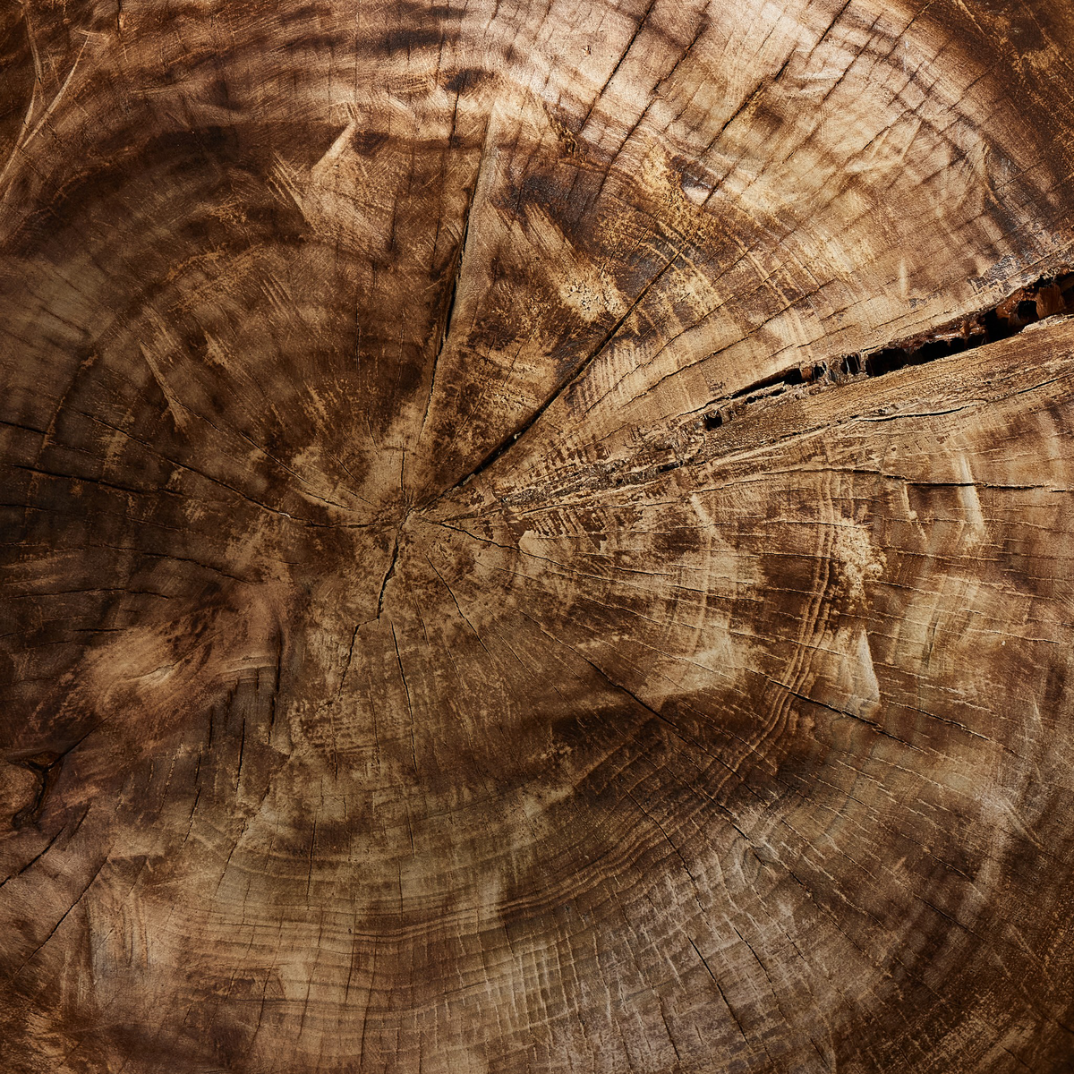 #color_burnt-reclaimed