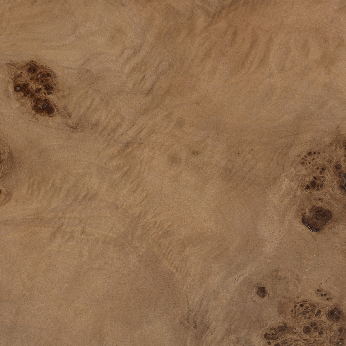 #color_caramel-burl