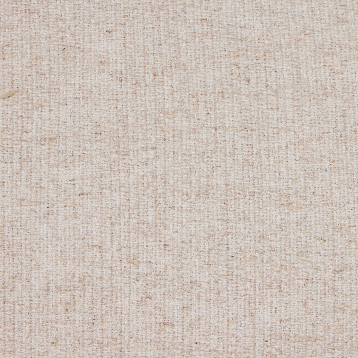 #color_palma-cream