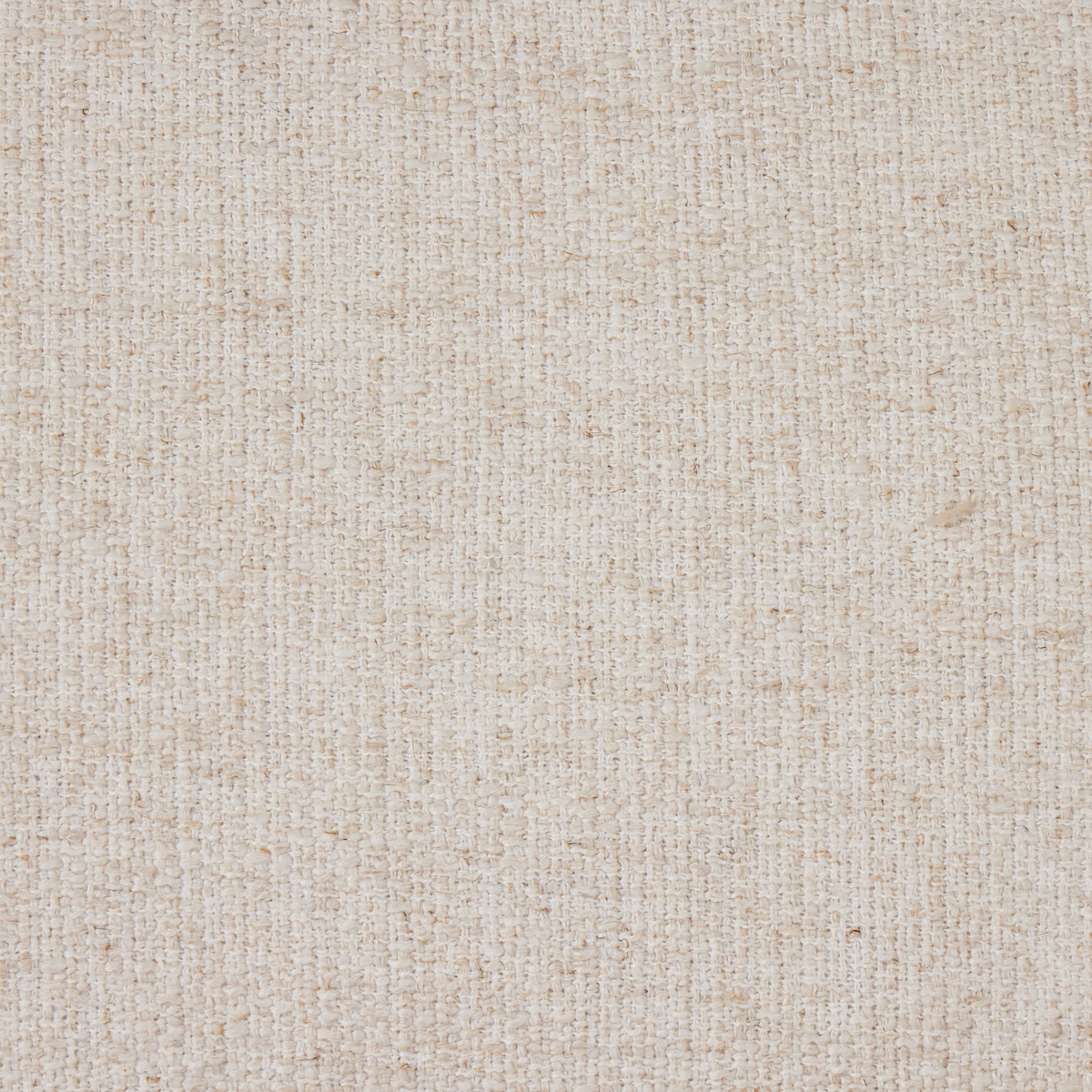 #color_palma-cream
