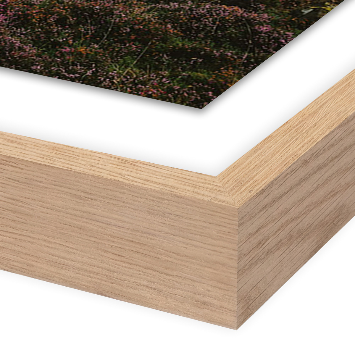 #color_vertical-grain-1.5-white-oak