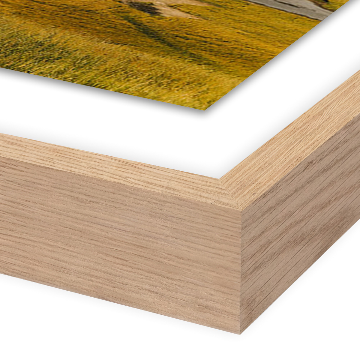 #color_vertical-grain-1.5-white-oak
