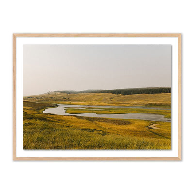 Where The Buffalo Roam By Wesley And Emma Teague by Four Hands