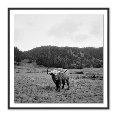 Highlander / Elk, Ca By Wesley And Emma Teague by Four Hands