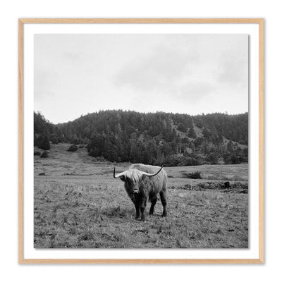 Highlander / Elk, Ca By Wesley And Emma Teague by Four Hands
