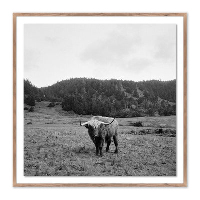 Highlander / Elk, Ca By Wesley And Emma Teague by Four Hands
