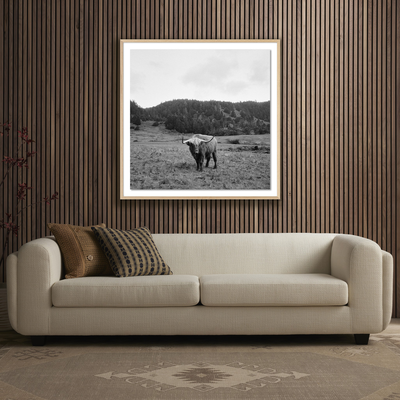 Highlander / Elk, Ca By Wesley And Emma Teague by Four Hands