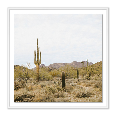High Desert By Wesley And Emma Teague by Four Hands