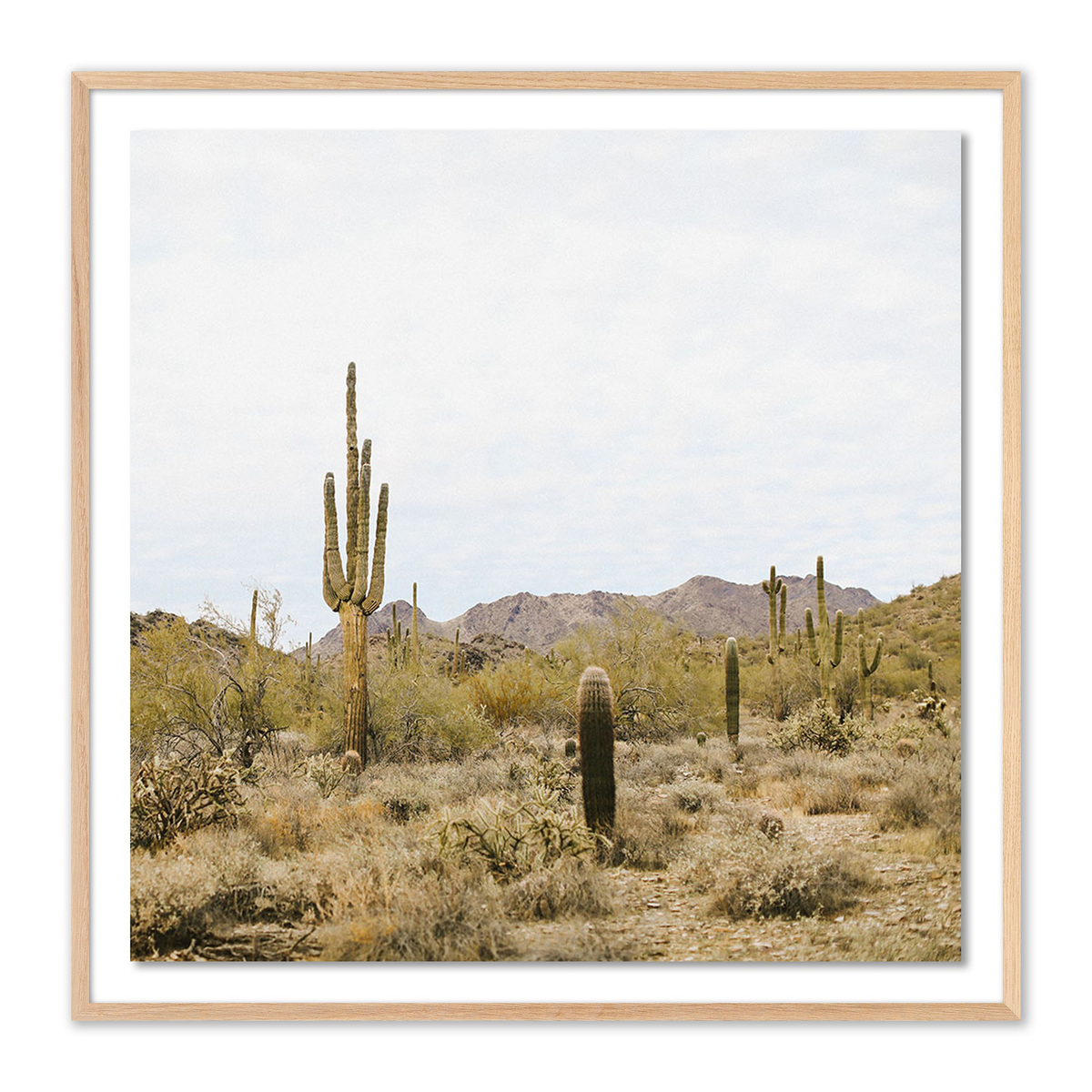 #color_nan