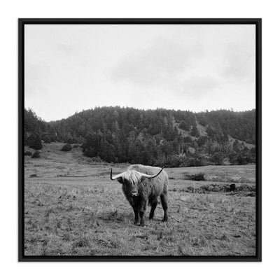 Highlander / Elk, Ca By Wesley And Emma Teague by Four Hands