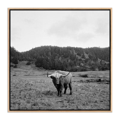 Highlander / Elk, Ca By Wesley And Emma Teague by Four Hands