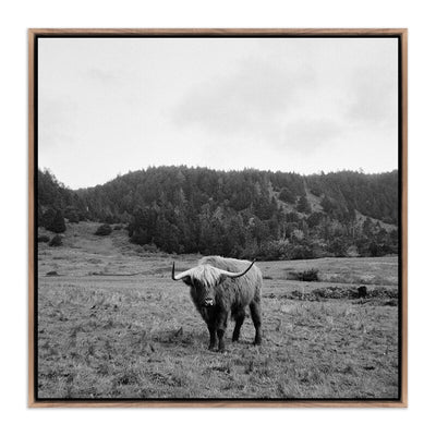 Highlander / Elk, Ca By Wesley And Emma Teague by Four Hands
