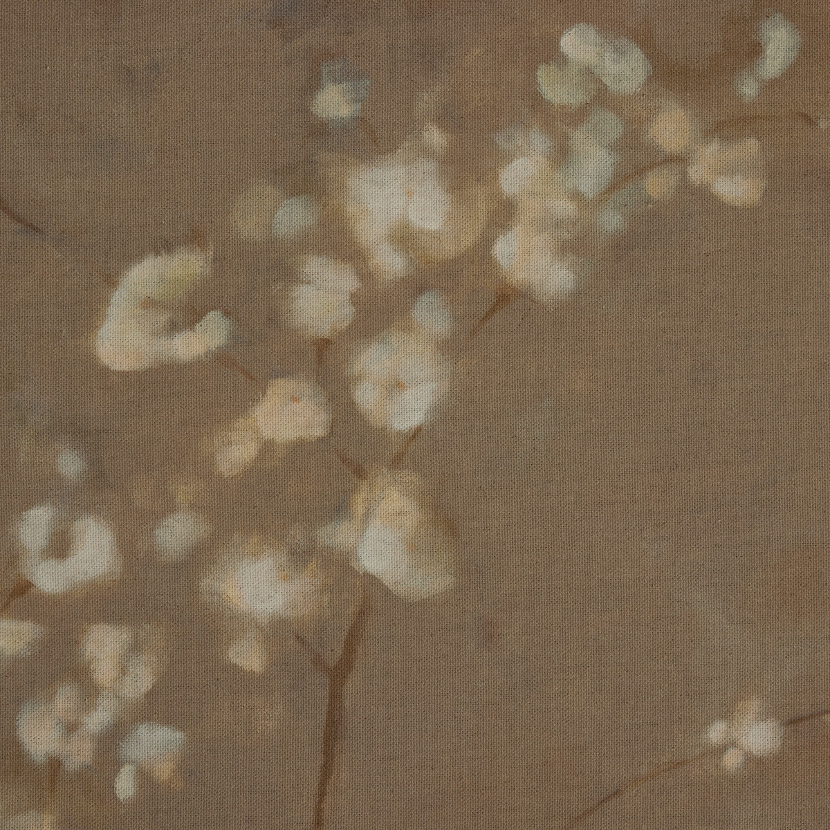 #color_rustic-1.5-walnut