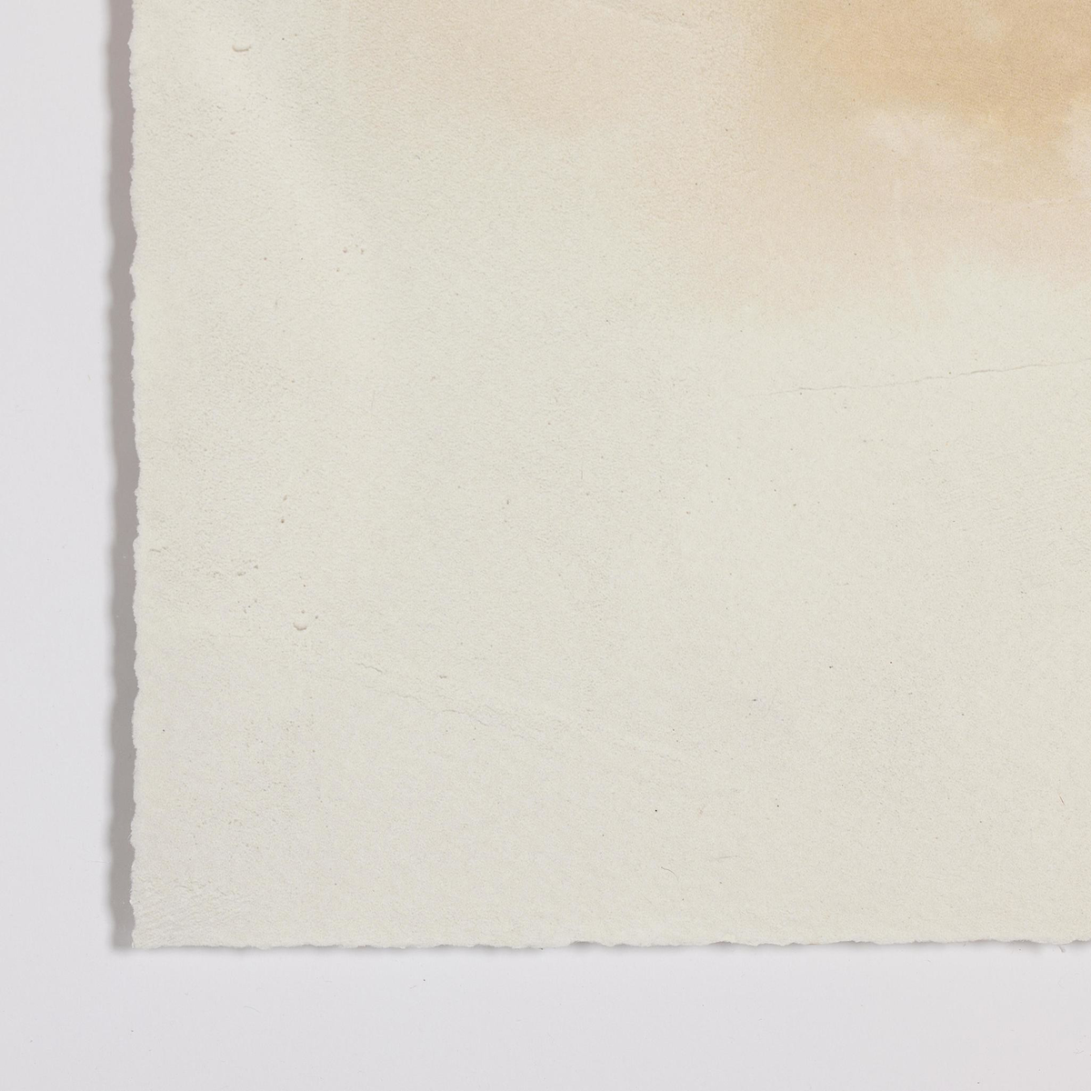 #color_rustic-2.5-walnut