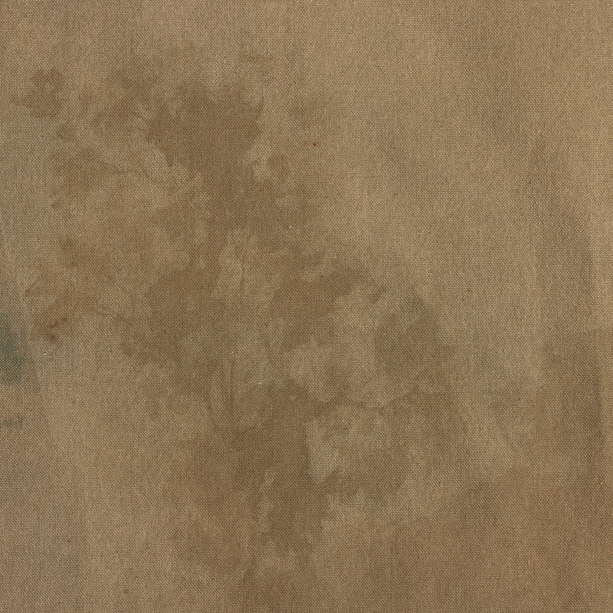 #color_vertical-grain-2.5-white-oak