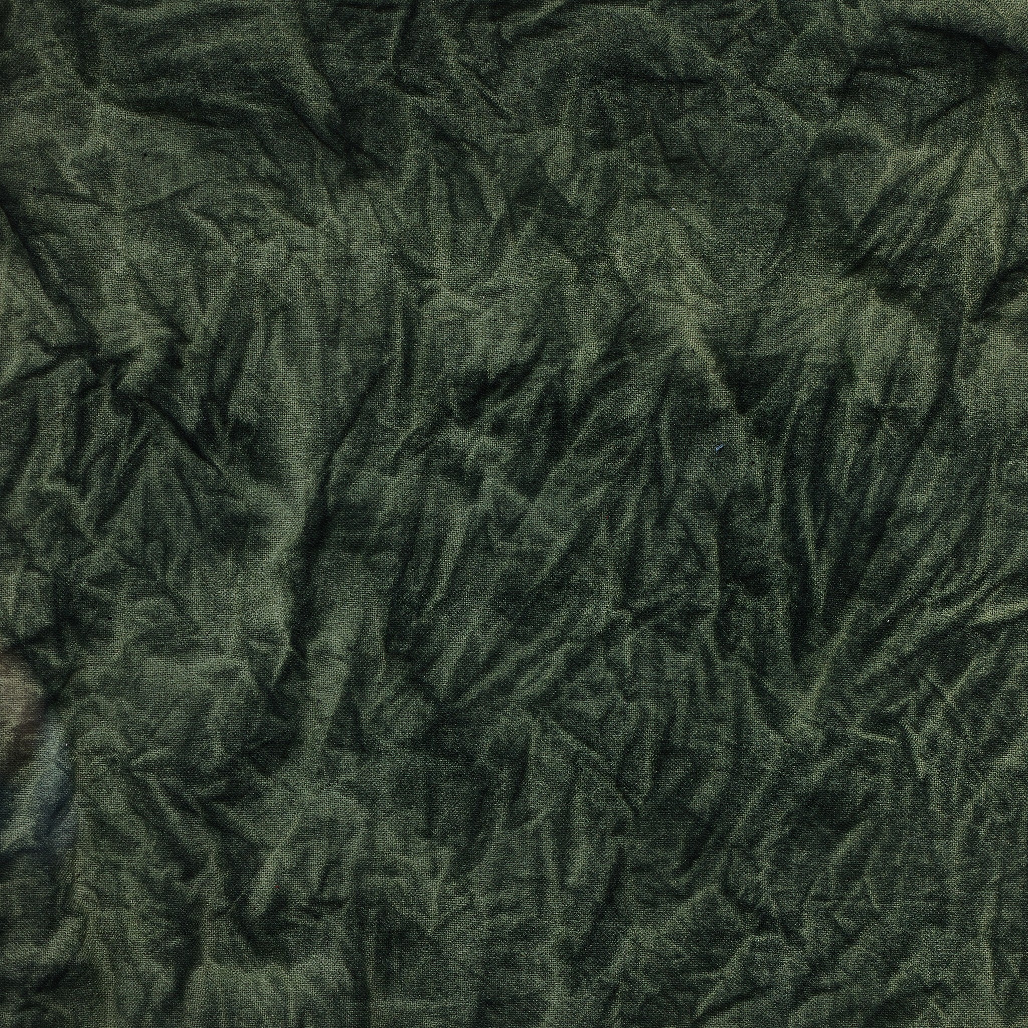 River Of Grass By Molly Franken