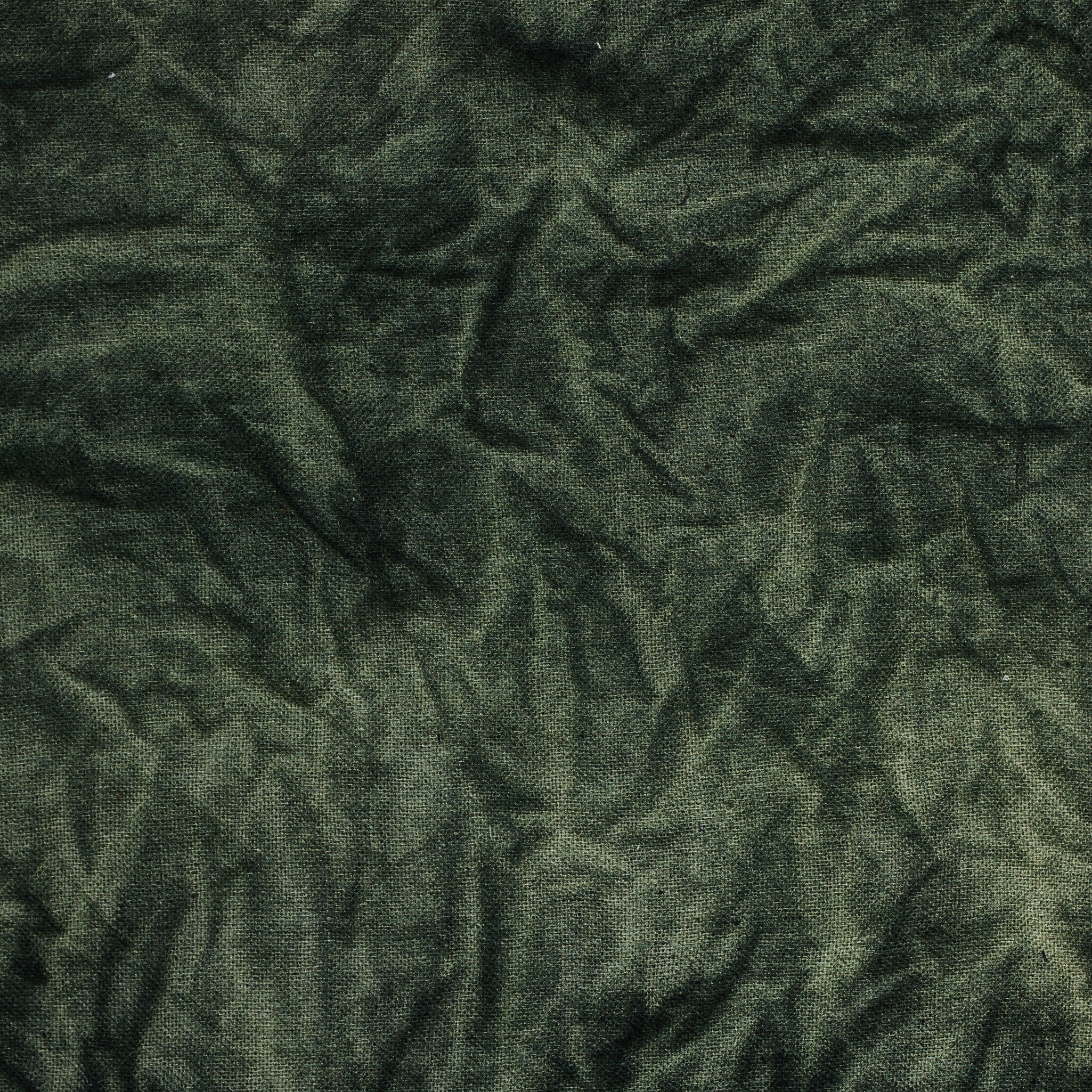 River Of Grass By Molly Franken