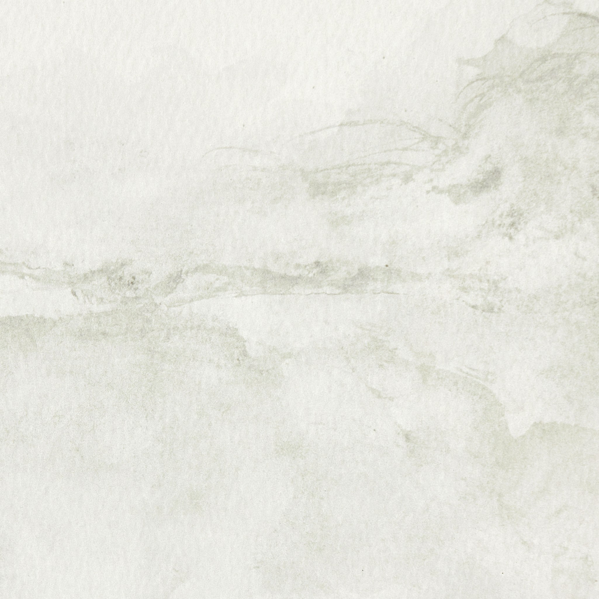 #color_vertical-grain-2.5-white-oak