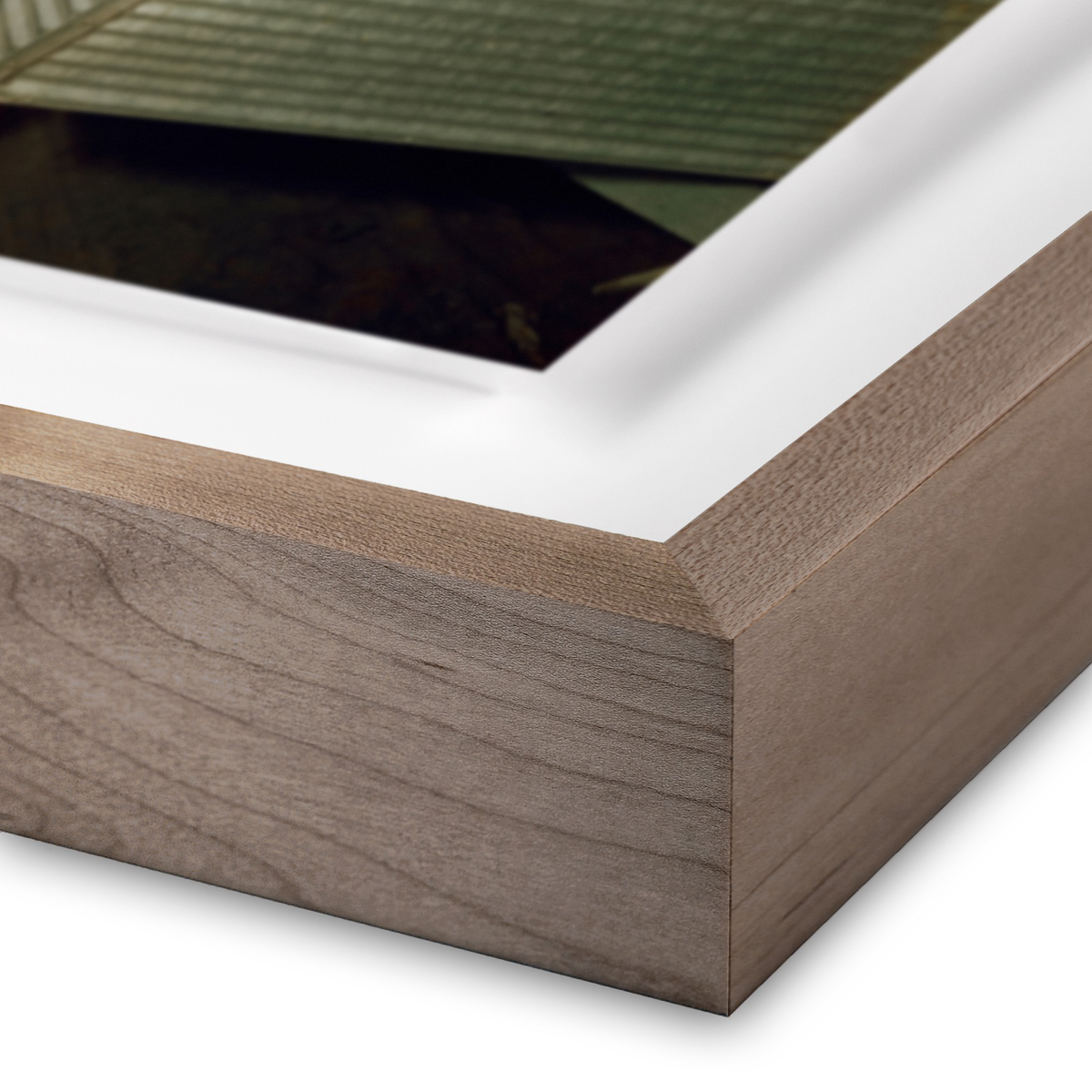 A Giant Star	By Getty Images