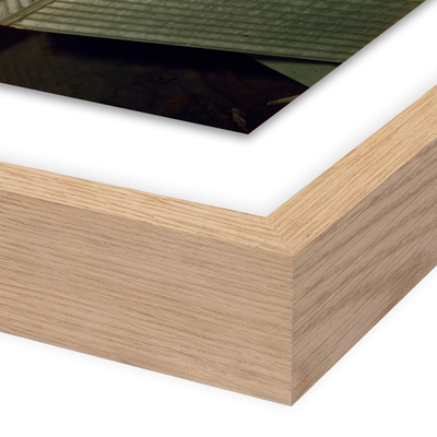 A Giant Star	By Getty Images