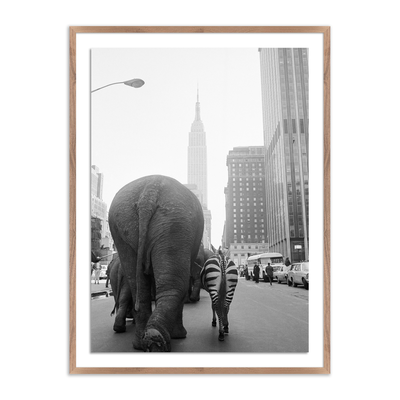 Circus Animals On 33Rd St By Getty Images by Four Hands