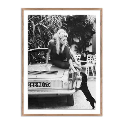 Brigitte Bardot With Dashchund	By Getty Images by Four Hands